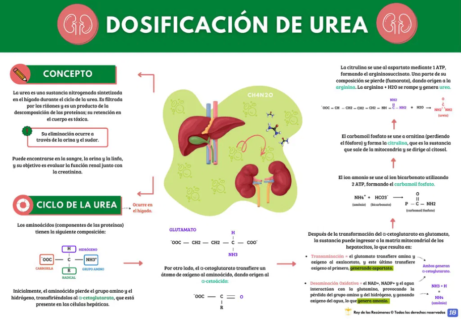 📘 Manual de Interpretación de Exámenes Laboratoriales PDF - OFERTA POR TIEMPO LIMITADO ⌛️