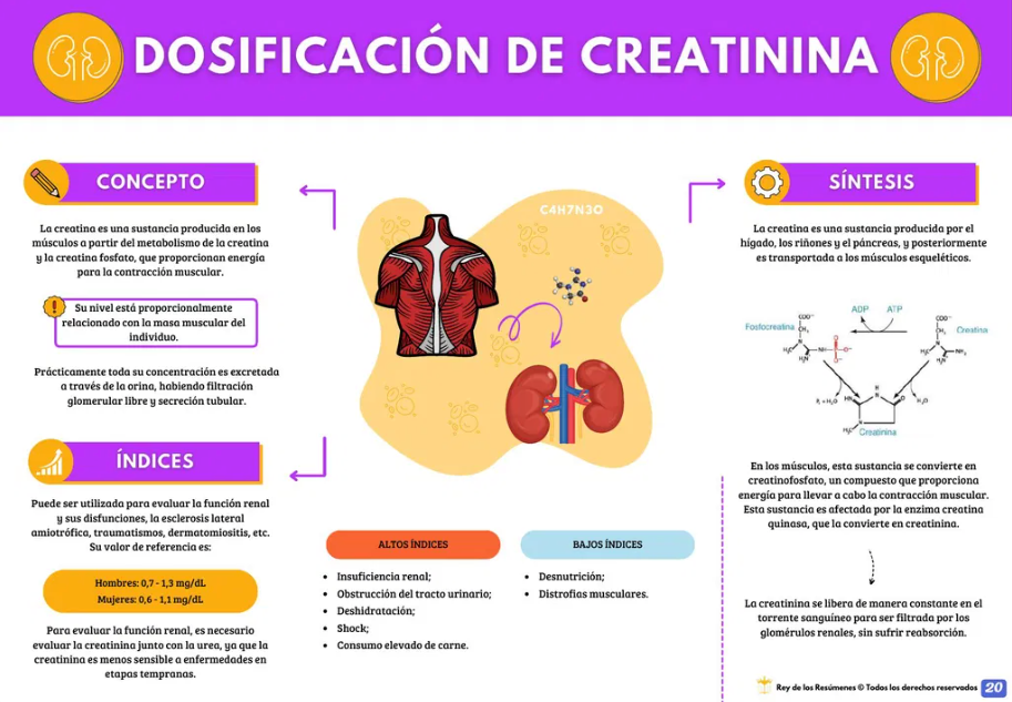 📘 Manual de Interpretación de Exámenes Laboratoriales PDF - OFERTA POR TIEMPO LIMITADO ⌛️