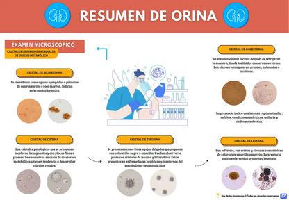 📘 Manual de Interpretación de Exámenes Laboratoriales PDF - OFERTA POR TIEMPO LIMITADO ⌛️